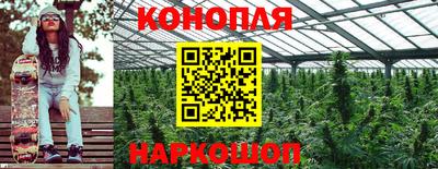 тгк Аргун