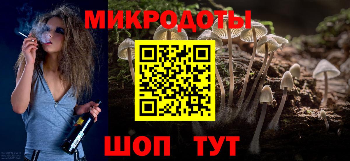 Псилоцибиновые грибы Cubensis Боровичи